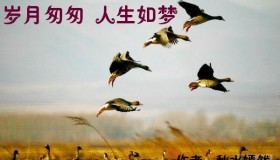 那年匆匆