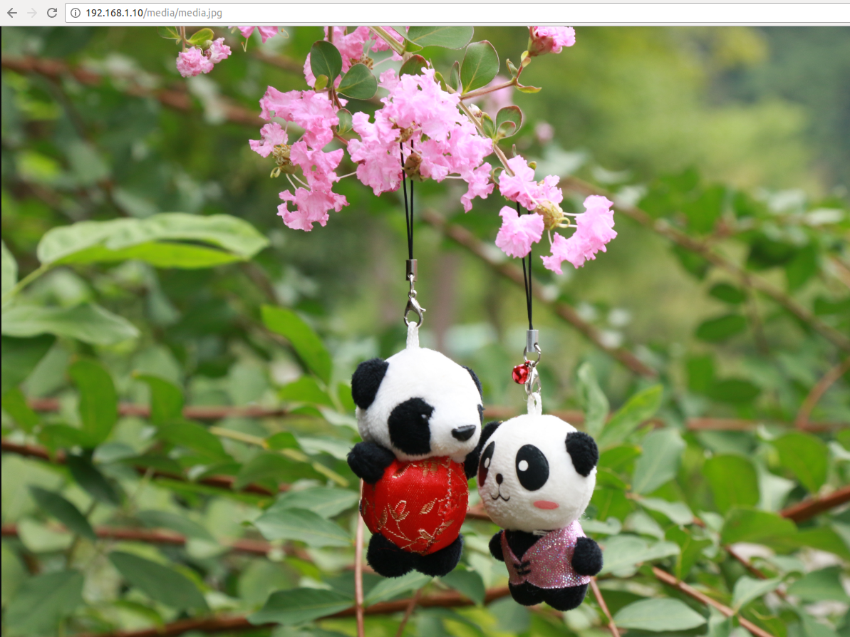 Django 学习之路 (5)——开始集成 uwsgi+nginx+django Django 学习之路 (5)——开始集成 uwsgi+nginx+django