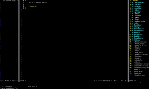vim 中多窗口大小改变