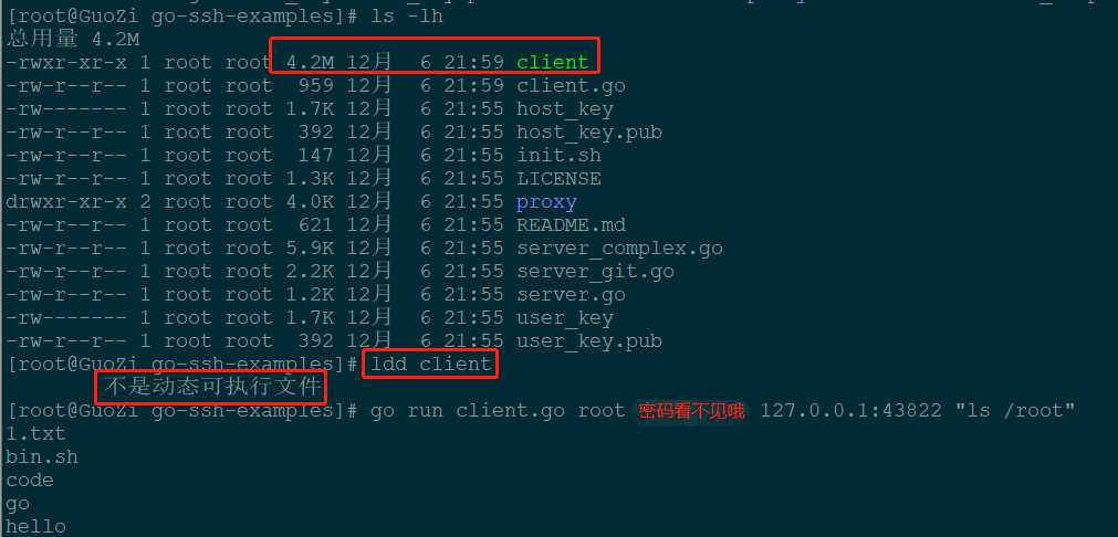 使用 golang 开发一个 sshclient 命令 使用 golang 开发一个 sshclient 命令